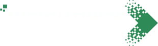 insight-wise-logo-white